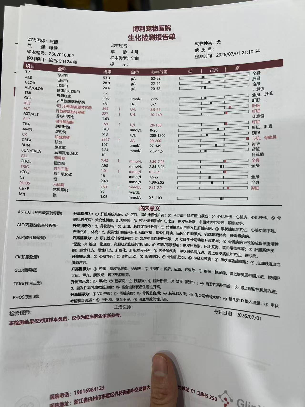 生化检测报告单 - 24 项综合